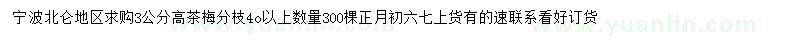 求購高3公分茶梅