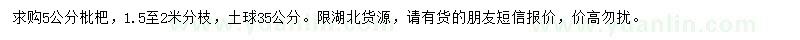 求購5公分枇杷樹