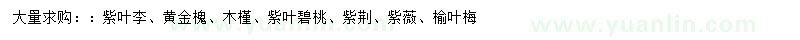 求購紫葉李、黃金槐、木槿等