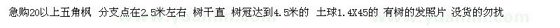 求購20公分以上五角楓