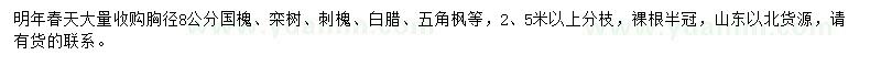 求購國槐、欒樹、刺槐等