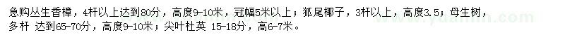 求購叢生香樟、狐尾椰子、母生樹等