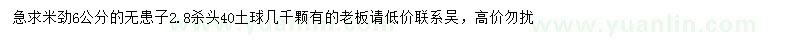 求購(gòu)米徑6公分無(wú)患子