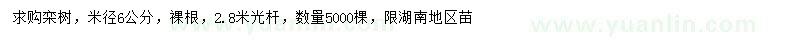 求購米徑6公分欒樹