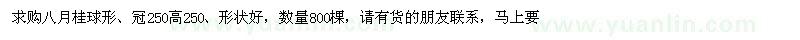 求購(gòu)高250公分八月桂