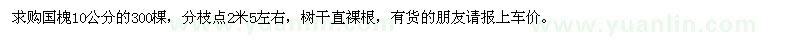 求購10公分國槐