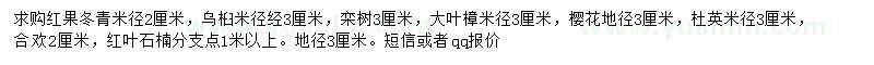 求購紅果冬青、烏桕、欒樹等