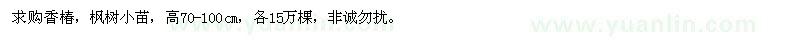 求購高70-100公分香椿、楓樹小苗