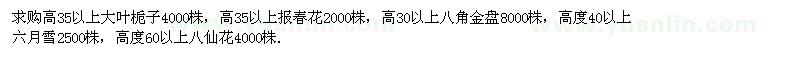 求購大葉梔子、報春花、八角金盤等