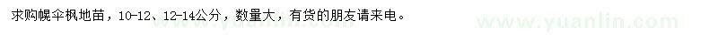 求購10-14公分幌傘楓地苗