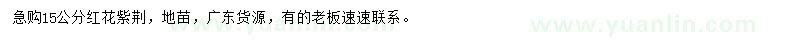 求購15公分紅花紫荊