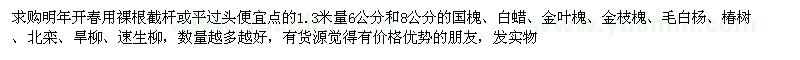 求購國槐、白蠟、金葉槐等