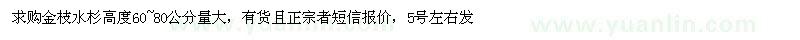 求購(gòu)高60-80公分金枝水杉