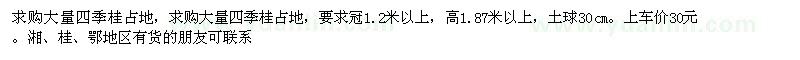 求購(gòu)高1.87米以上四季桂