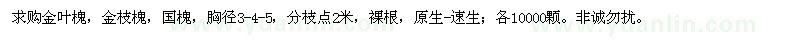 求購(gòu)金葉槐、金枝槐、國(guó)槐