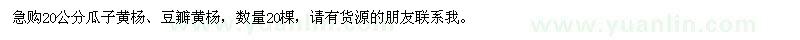 求購20公分瓜子黃楊、豆瓣黃楊