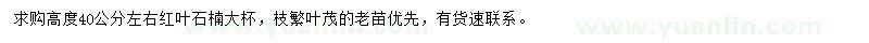 求購高40公分紅葉石楠