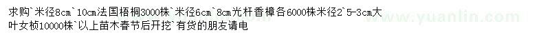 求購法國梧桐、香樟、大葉女貞