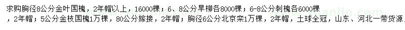 求購金葉國槐、旱柳、刺槐等