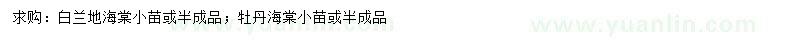 求購(gòu)白蘭地海棠、牡丹海棠