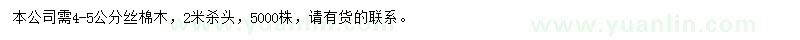 求購4-5公分絲棉木