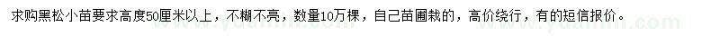 求購高50公分以上黑松小苗