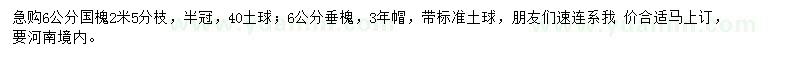 求購(gòu)6公分國(guó)槐、垂槐