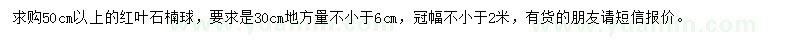 求購50公分以上紅葉石楠球