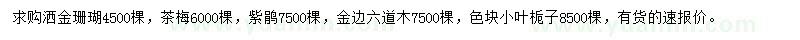 求購灑金珊瑚、茶梅、紫鵑等