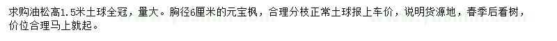 求購高1.5米油松、胸徑6公分元寶楓