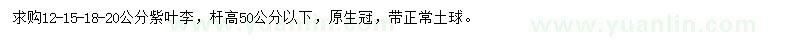 求購12-20公分紫葉李