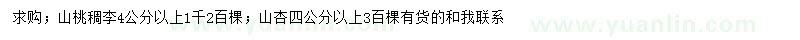 求購4公分以上山桃稠李、山杏