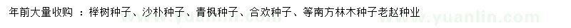 求購(gòu)櫸樹、沙樸、青楓等