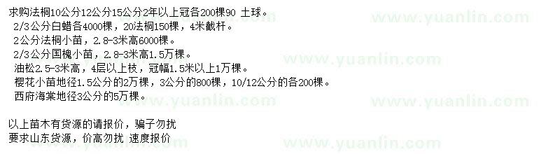 求購法桐、國槐、油松等