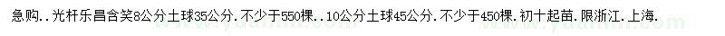 求購(gòu)8、10公分樂(lè)昌含笑