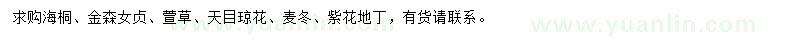 求購海桐、金森女貞、萱草等