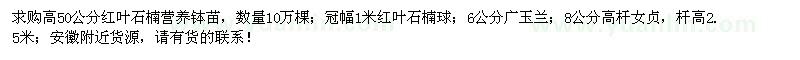 求購紅葉石楠、紅葉石楠球、廣玉蘭等