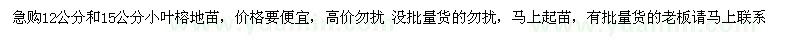 求購12、15公分小葉榕地苗