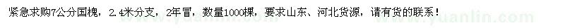 求購7公分國槐
