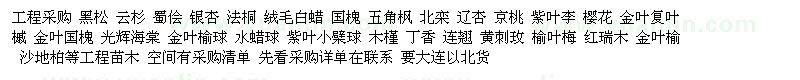 求購五角楓、白蠟、法桐等