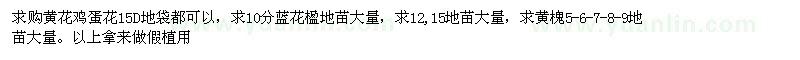 求購黃花雞蛋花、藍花楹、秋楓等