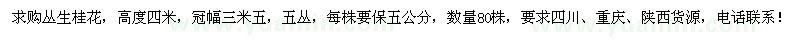 求購高4米叢生桂花