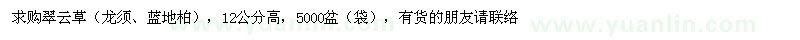 求購高12公分龍須、藍(lán)地柏