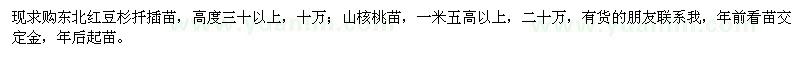 求購(gòu)高30公分以上東北紅豆杉扦插苗、1.5米以上山核桃苗