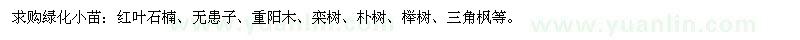 求購(gòu)紅葉石楠、無(wú)患子、重陽(yáng)木等