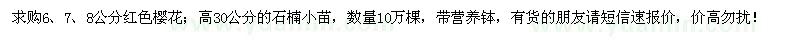 求購6、7、8公分紅色櫻花、高30公分石楠苗