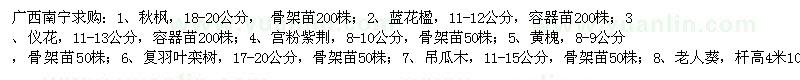 求購秋楓、藍(lán)花楹、儀花等