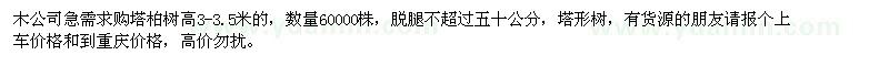 求購高3-3.5米塔柏樹