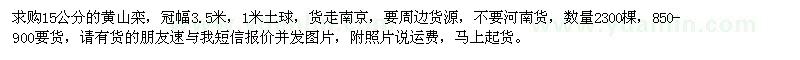 求購15公分黃山欒