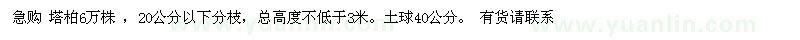求購(gòu)高3米以上塔柏
